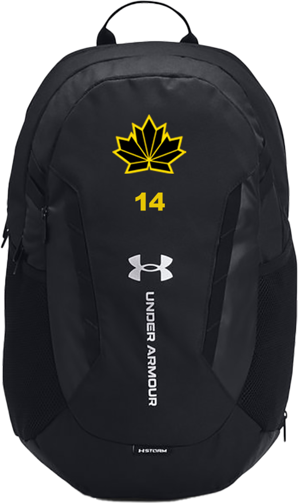 UA Backpack