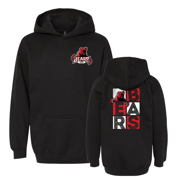 Youth Hoodie - BEARS